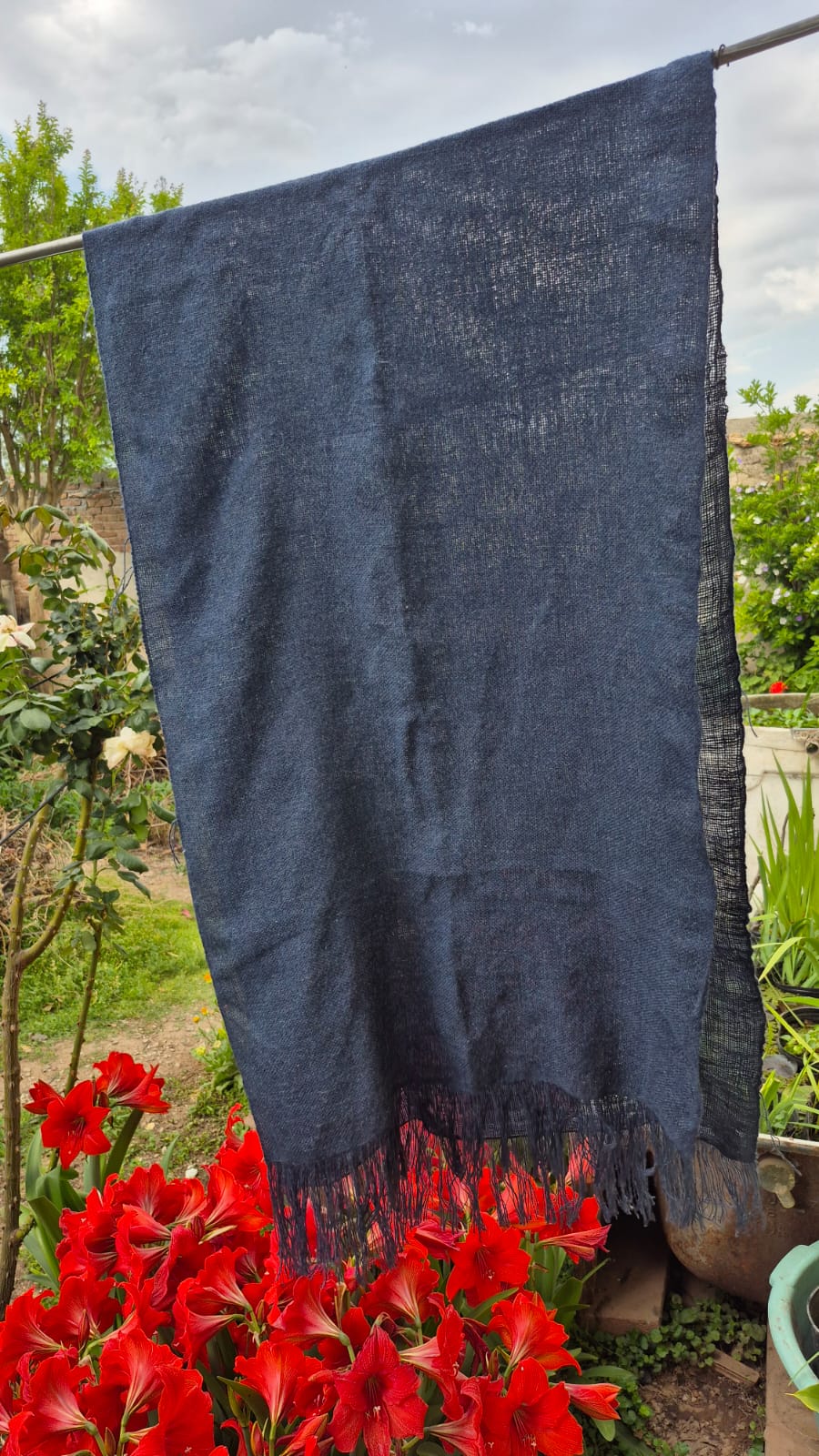 color puro - Imagen 4