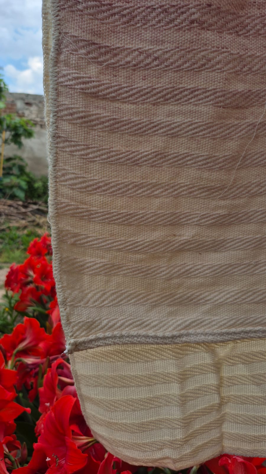 algodón 100% - Imagen 11