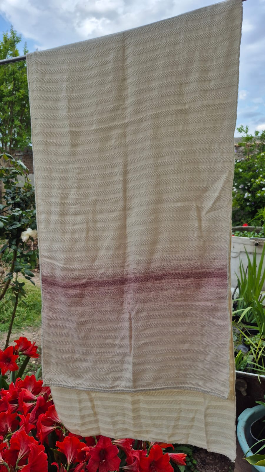 algodón 100% - Imagen 10