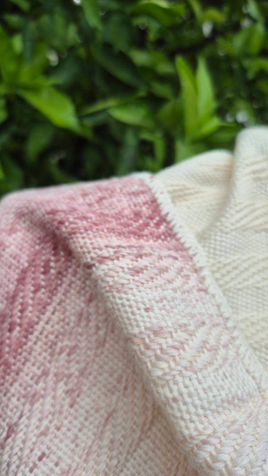 algodón 100% - Imagen 9