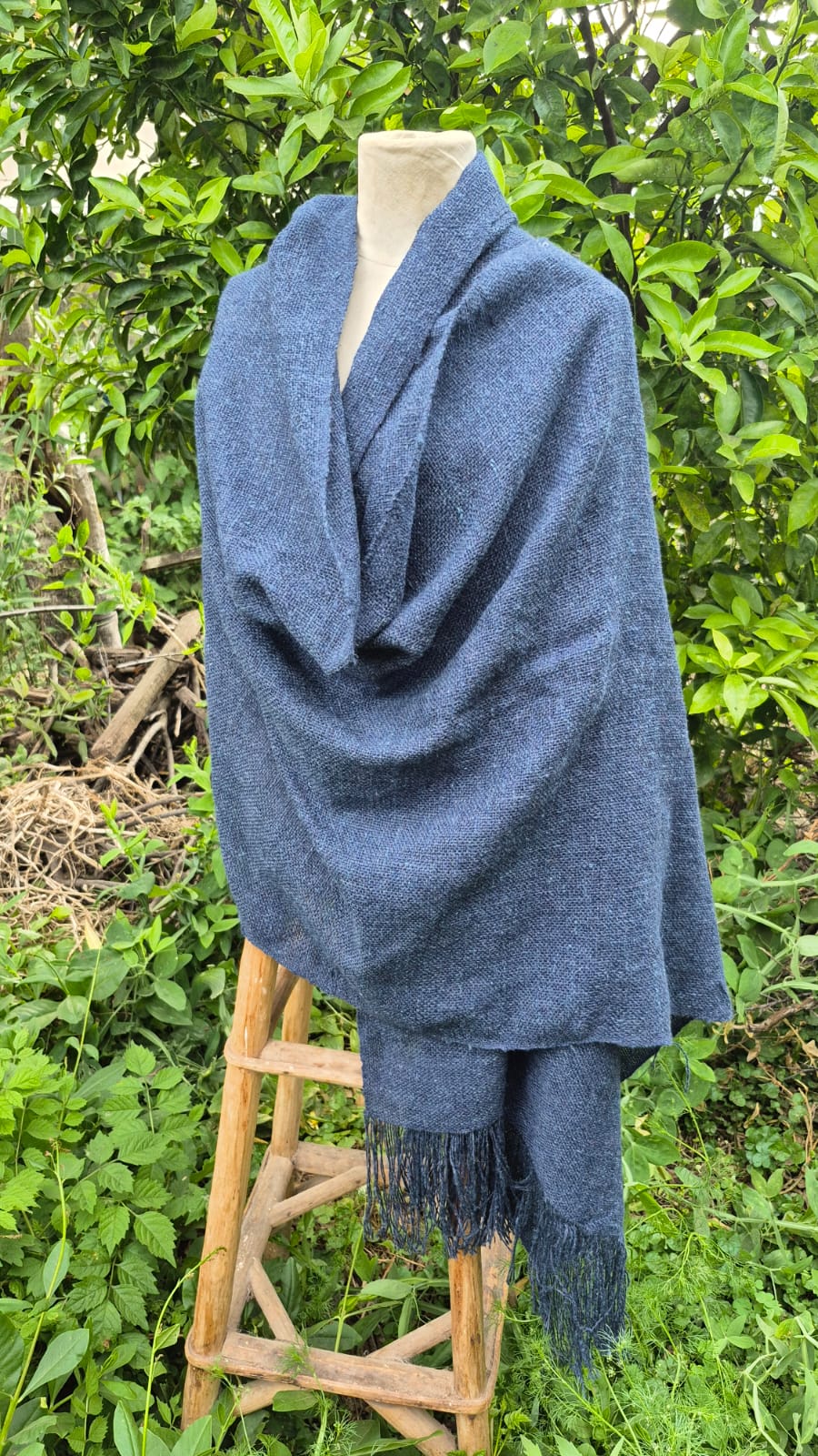 color puro - Imagen 5