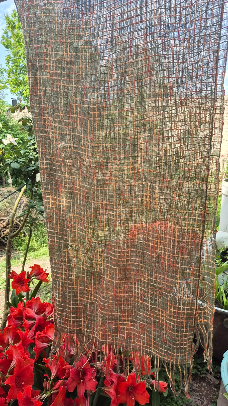 algodón 100% - Imagen 7