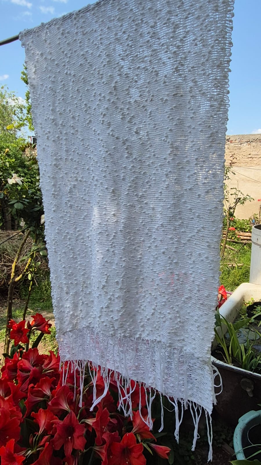 algodón 100% - Imagen 14