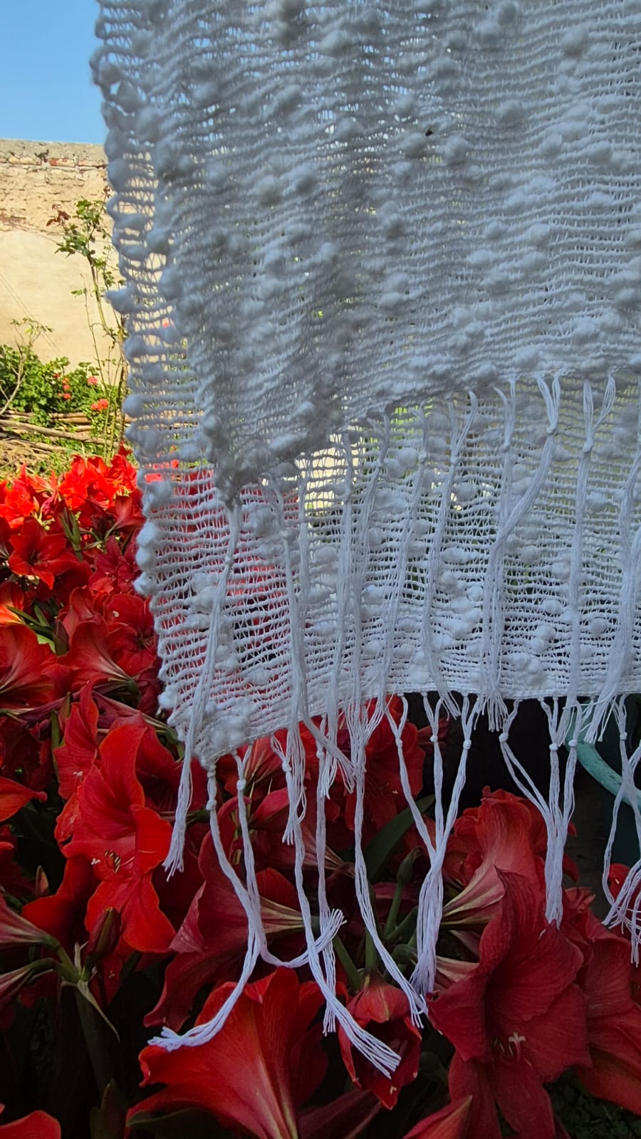 algodón 100% - Imagen 13